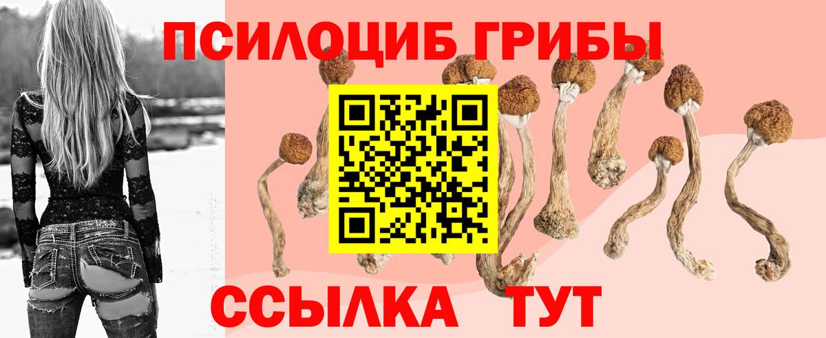 Сибай  Галлюциногенные грибы мицелий  Вход с VPN  Псилоцибиновые грибы Cubensis 