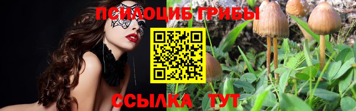 Псилоцибиновые грибы GOLDEN TEACHER Сибай